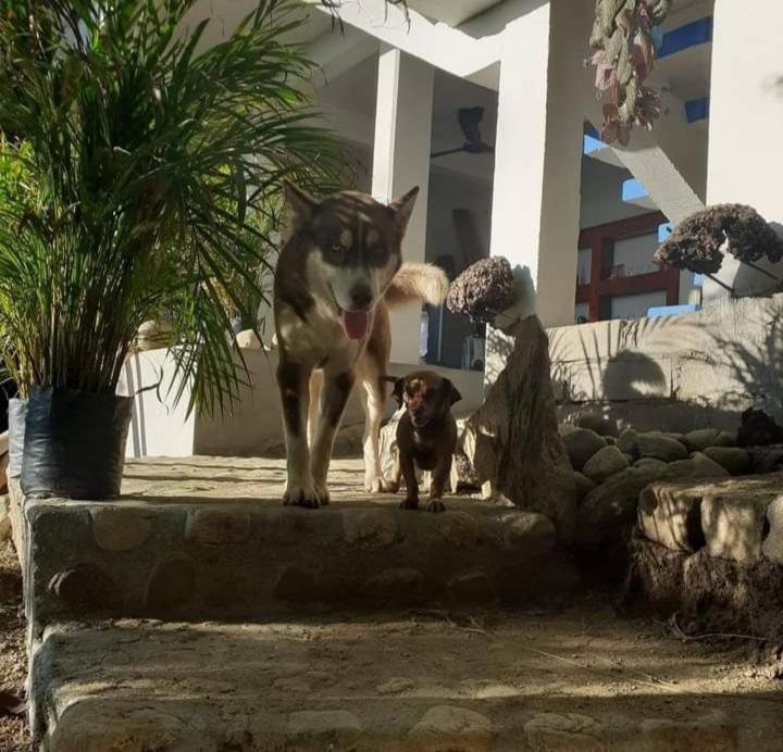 Aldea Xha Iba' Zipolite Hotel Kültér fotó